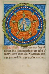 Rosario con Virgo Lactans